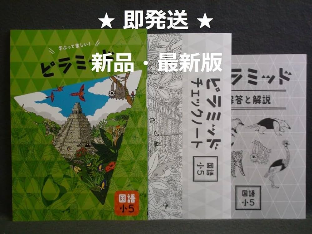 【最新版】 新品 ピラミッド問題集 国語 小６他【解答付】 ピラミッド 国語 小6 解答付き 最新版 - メルカリ